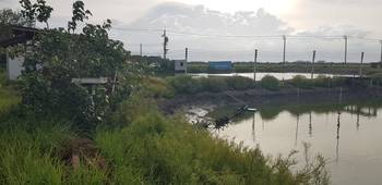 [เจ้าของขายเอง] ที่ดิน 23 ไร่ 3 งาน 81 ตารางวา